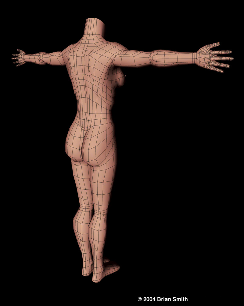 Lisa body wireframe render